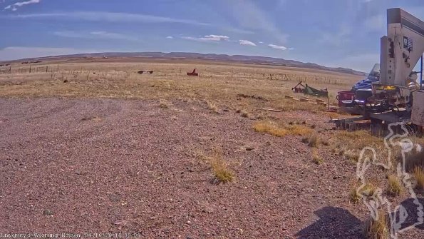 BoysenApr162025_13hh08mm01ss