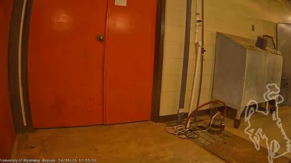 BoysenApr162025_19hh08mm01ss