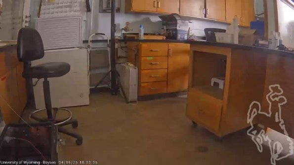 BoysenApr162025_20hh08mm01ss