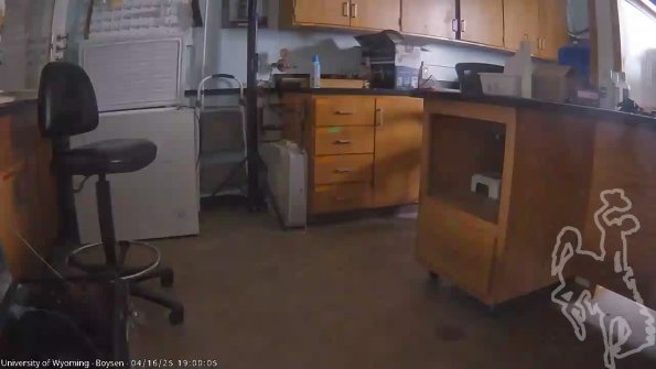 BoysenApr162025_21hh08mm02ss