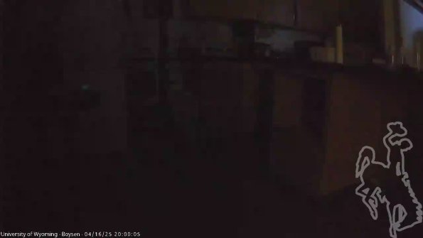 BoysenApr162025_22hh08mm01ss