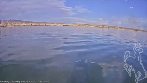 BoysenAug012025_21hh08mm01ss