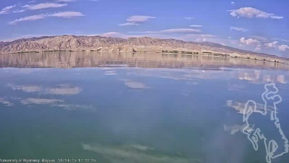 BoysenAug042025_19hh08mm01ss