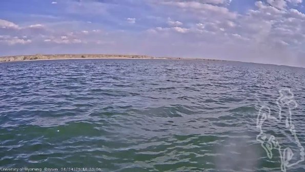 BoysenAug042025_20hh08mm01ss