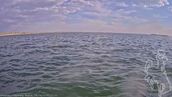 BoysenAug042025_21hh08mm01ss