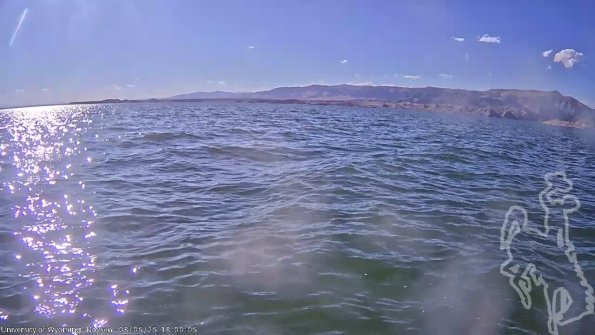 BoysenAug052025_20hh08mm01ss