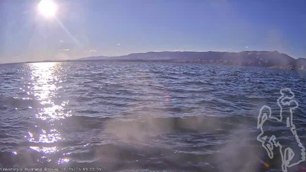 BoysenAug052025_21hh08mm01ss