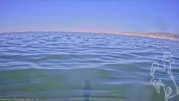 BoysenAug072025_11hh08mm01ss