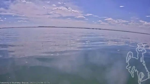 BoysenAug072025_16hh08mm01ss