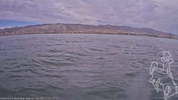 BoysenAug082025_11hh08mm01ss