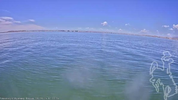 BoysenAug082025_14hh08mm01ss