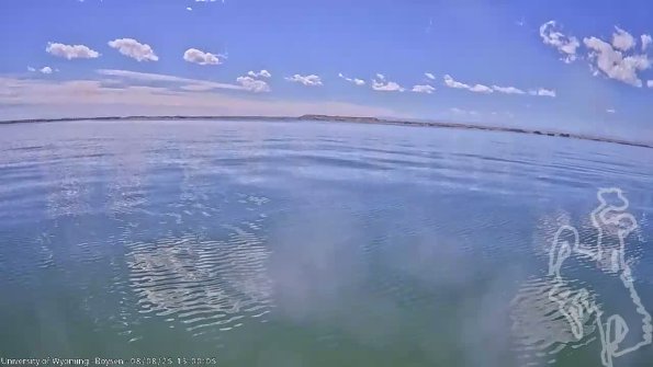 BoysenAug082025_15hh08mm01ss