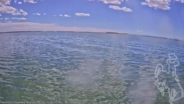 BoysenAug082025_16hh08mm01ss