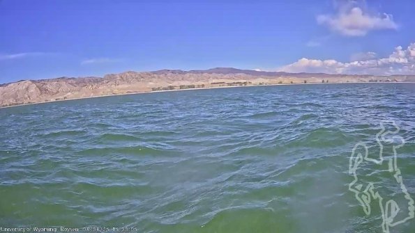 BoysenAug082025_17hh08mm01ss