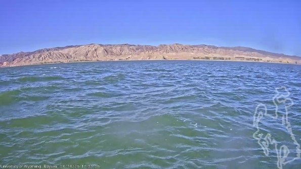 BoysenAug082025_19hh08mm01ss