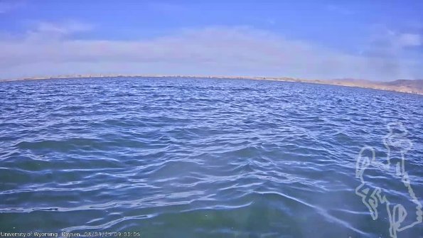 BoysenAug092025_11hh08mm01ss