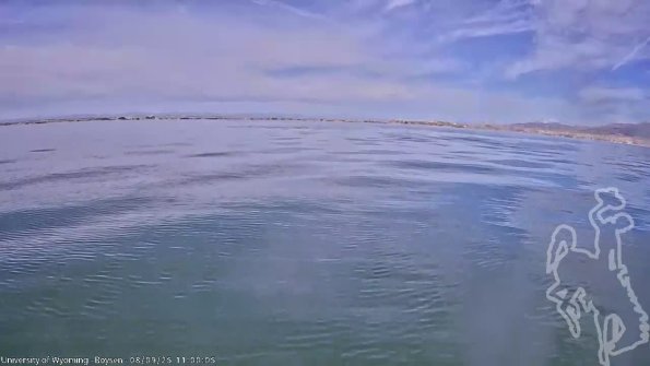 BoysenAug092025_13hh08mm01ss