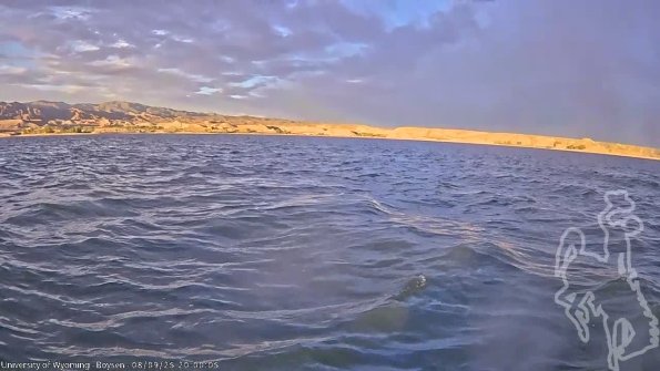 BoysenAug092025_22hh08mm01ss