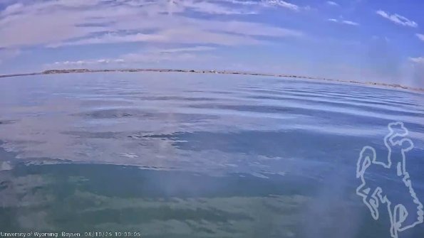 BoysenAug102025_12hh08mm01ss