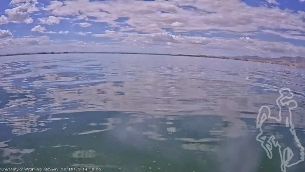 BoysenAug102025_16hh08mm00ss