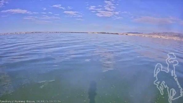 BoysenAug112025_11hh08mm01ss