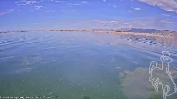 BoysenAug112025_12hh08mm01ss