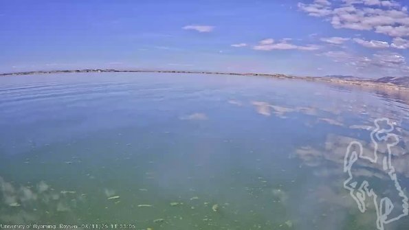 BoysenAug112025_13hh08mm01ss