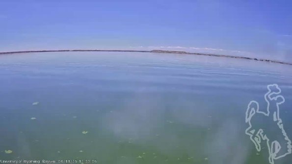 BoysenAug112025_14hh08mm01ss