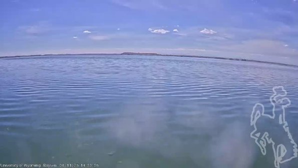 BoysenAug112025_16hh08mm01ss