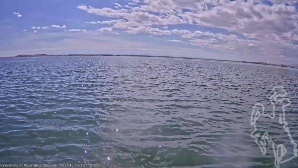 BoysenAug112025_17hh08mm01ss