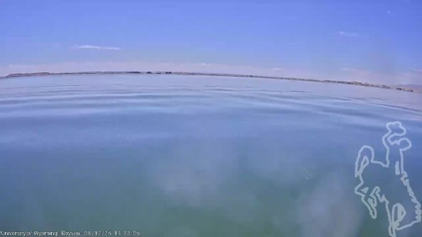 BoysenAug122025_15hh08mm01ss