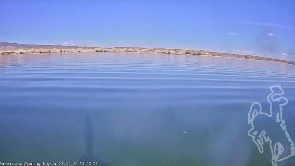 BoysenAug122025_20hh08mm01ss