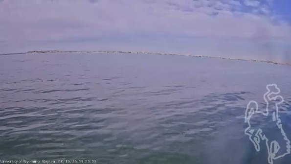 BoysenAug152025_11hh08mm01ss