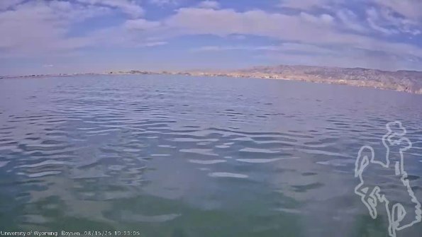 BoysenAug152025_12hh08mm01ss