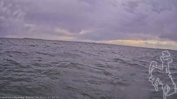 BoysenAug152025_19hh08mm01ss