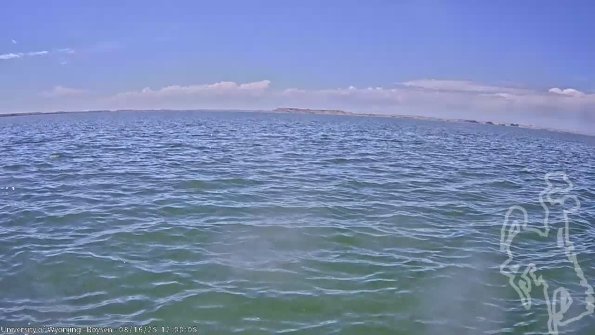 BoysenAug162025_14hh08mm02ss