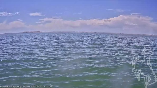 BoysenAug162025_15hh08mm01ss