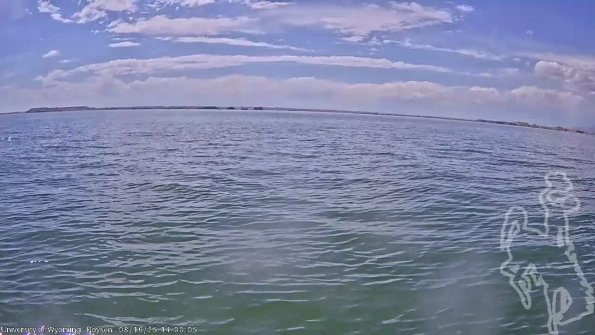 BoysenAug162025_16hh08mm01ss