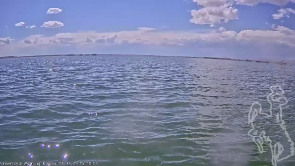 BoysenAug162025_17hh08mm01ss