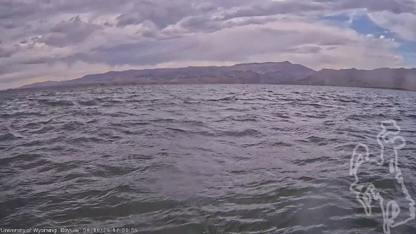 BoysenAug162025_19hh08mm02ss