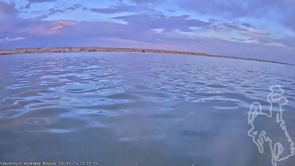 BoysenAug162025_22hh08mm01ss