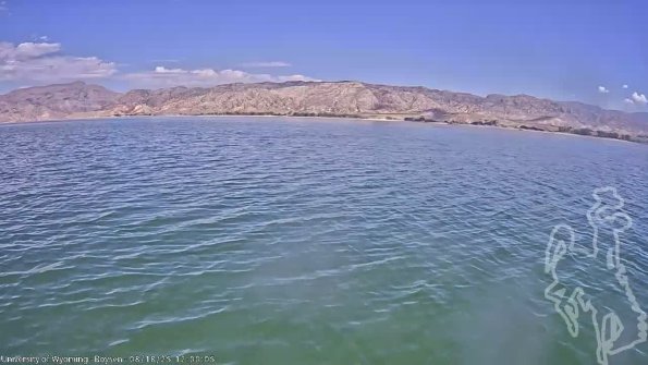 BoysenAug182025_14hh08mm01ss