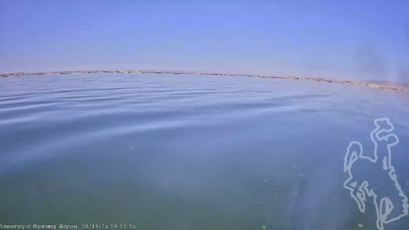 BoysenAug192025_11hh08mm01ss