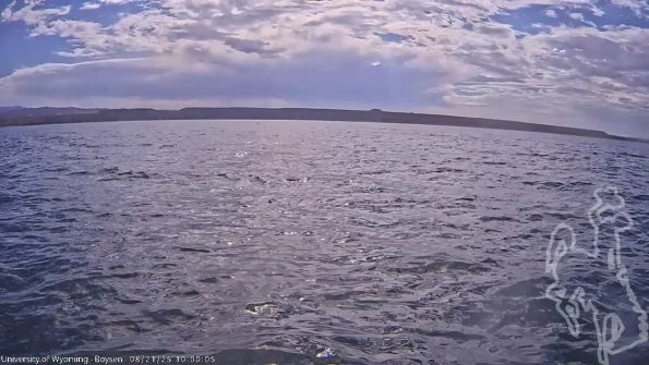 BoysenAug212025_12hh08mm01ss