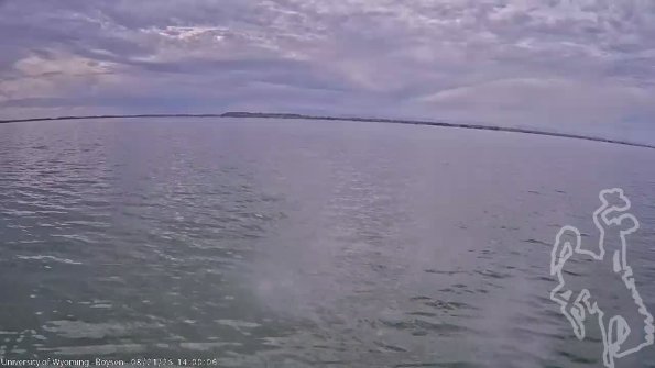 BoysenAug212025_16hh08mm01ss