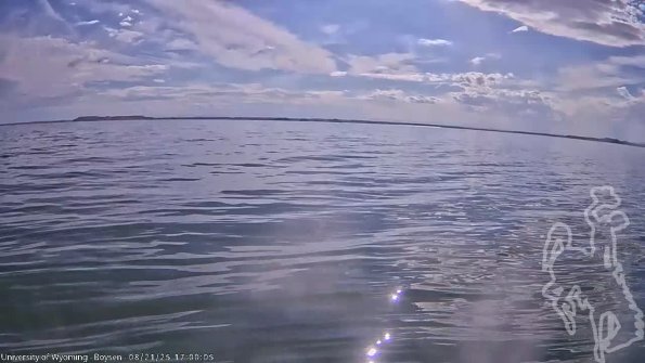 BoysenAug212025_19hh08mm01ss