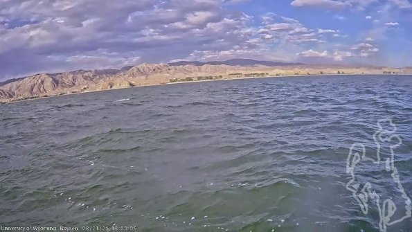 BoysenAug212025_20hh08mm02ss