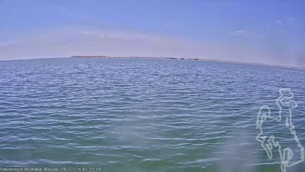 BoysenAug222025_14hh08mm01ss