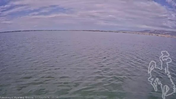 BoysenJul032025_14hh08mm01ss