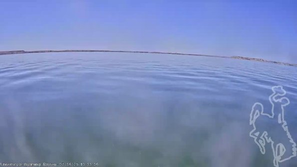 BoysenJul062025_12hh08mm02ss